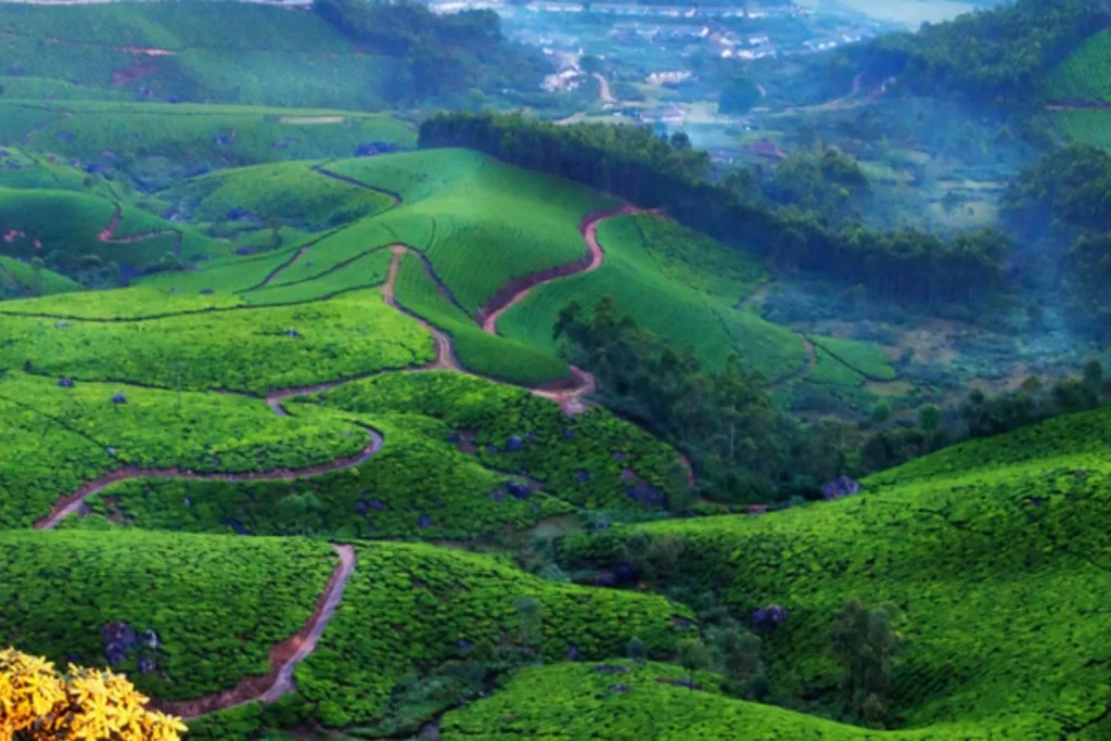 munnar