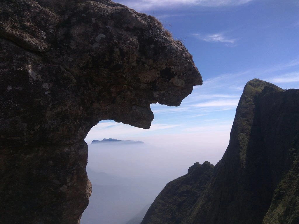 Meeshapulimala-Munnar Trip Plan for 2 Days