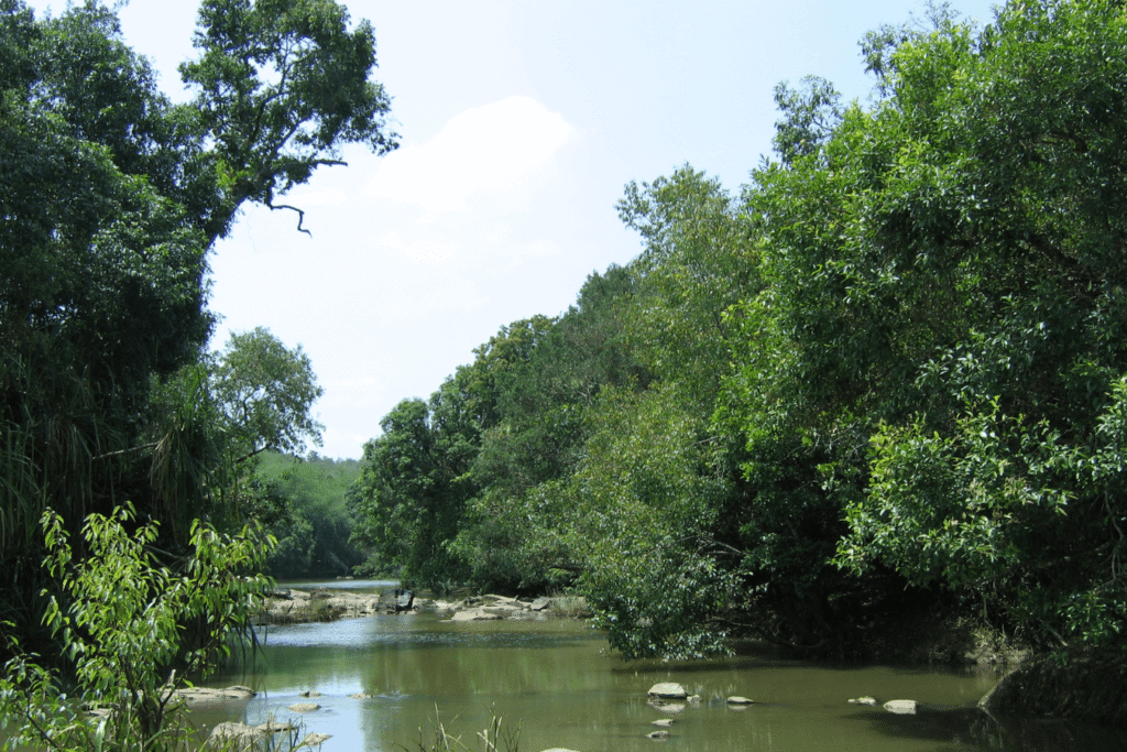 Best 7 Places to Visit in Wayanad- Kuruva Island