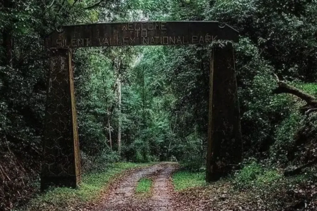 silent vally-Top 6 National Parks in Kerala 