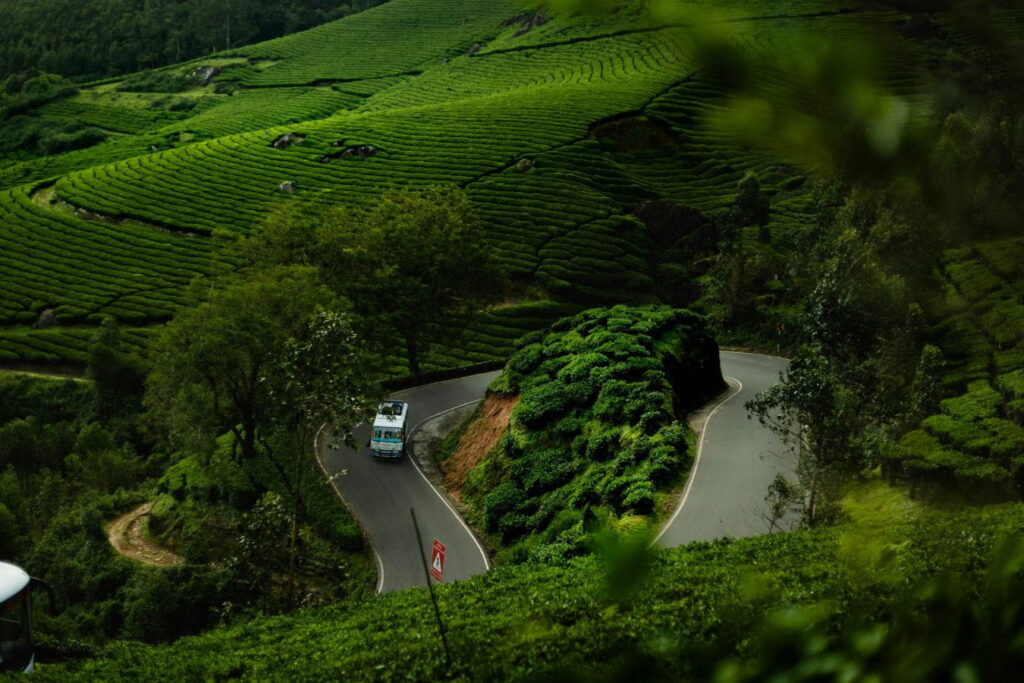 Best 7 Places to Visit in Wayanad