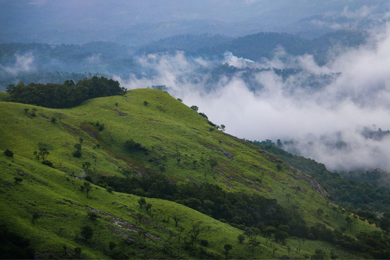 Best place in Wayanad