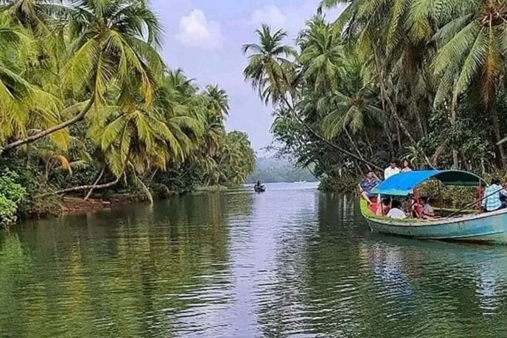 Kumarakom Bird Sanctuary 