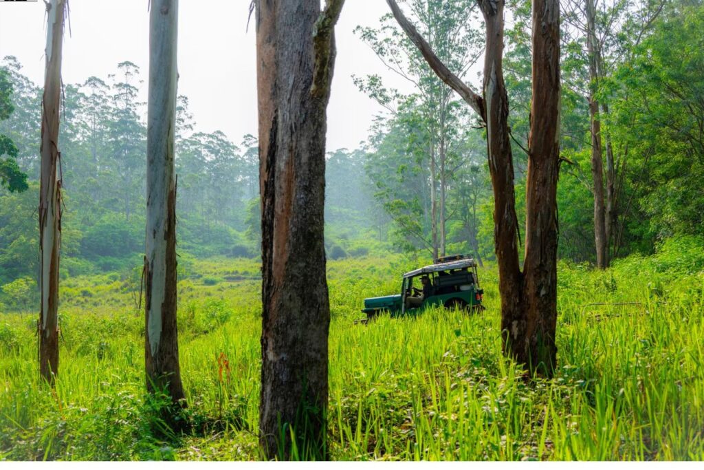 Muthanga Wildlife Sanctuary