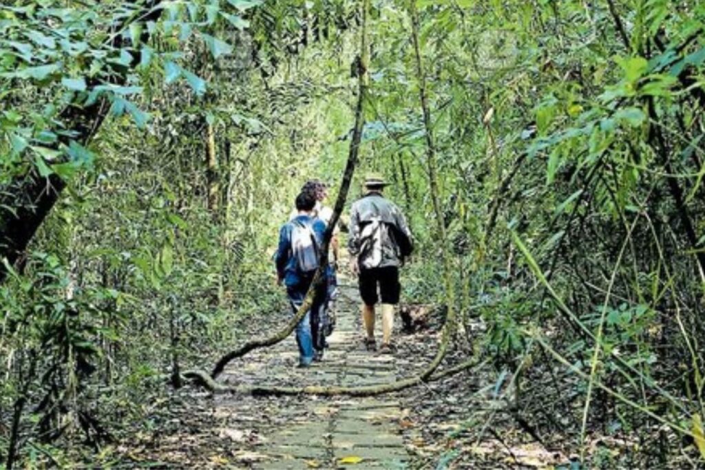 Kumarakom Bird Sanctuary 
