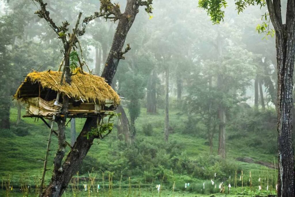 wayanad Wildlife Sanctuaries in Kerala