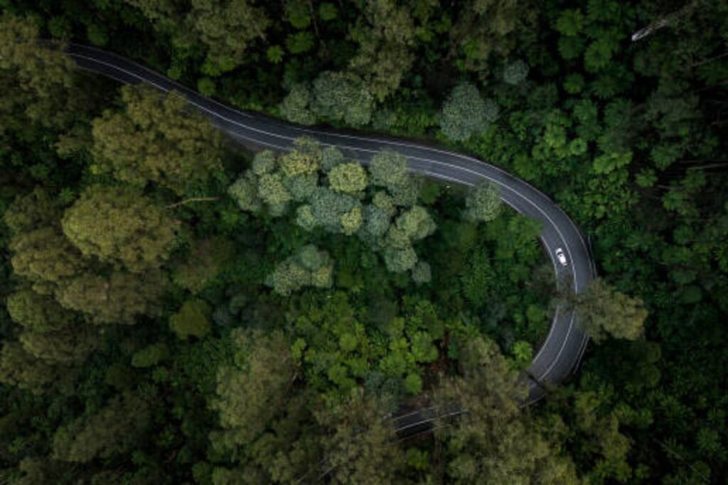 Muthanga Wildlife Sanctuary