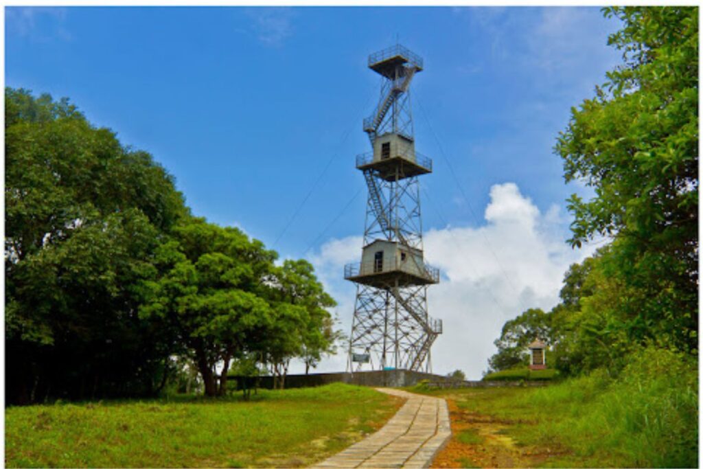 Silent Valley National Park Travel Guide