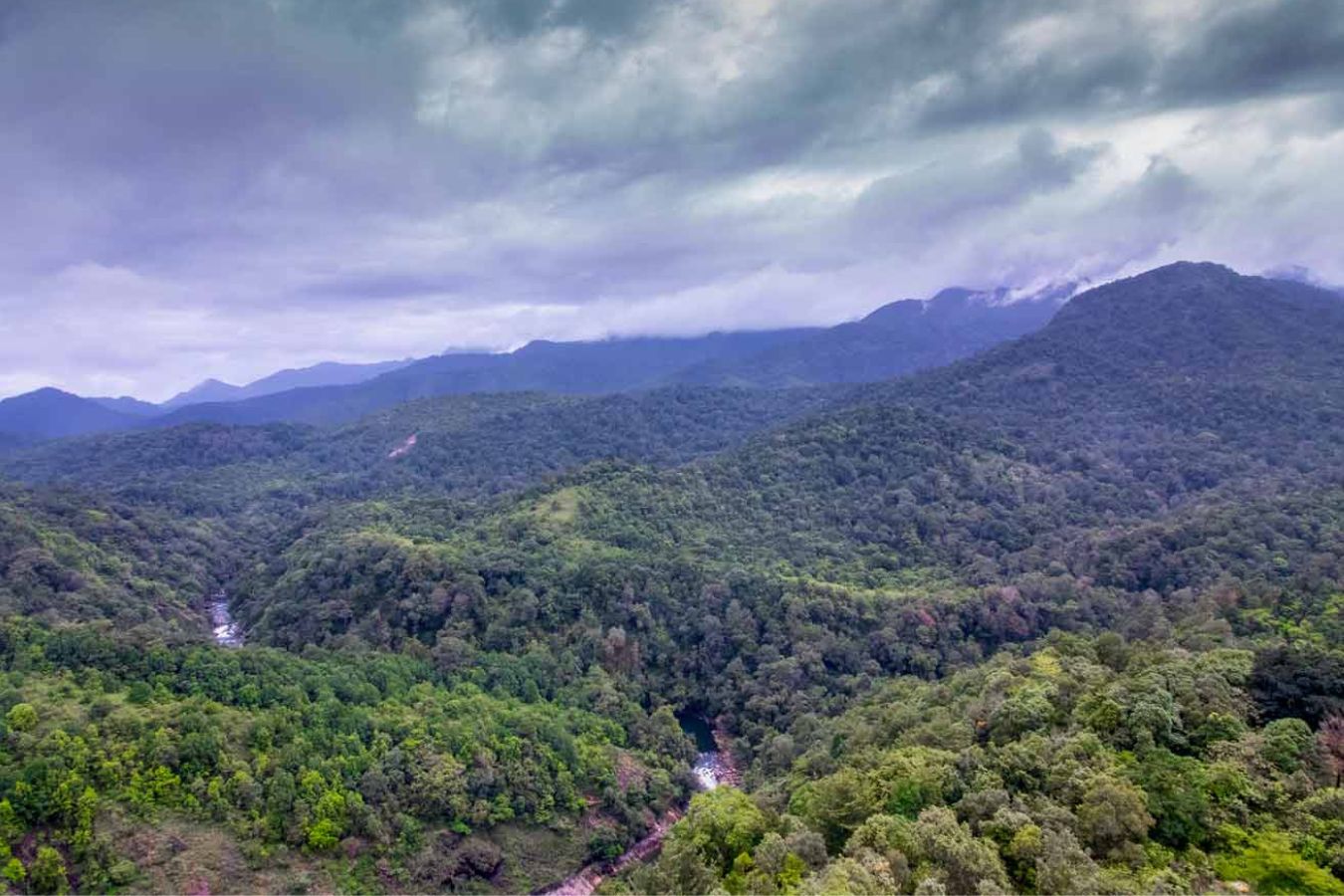 Silent-valley-national-park travel guide