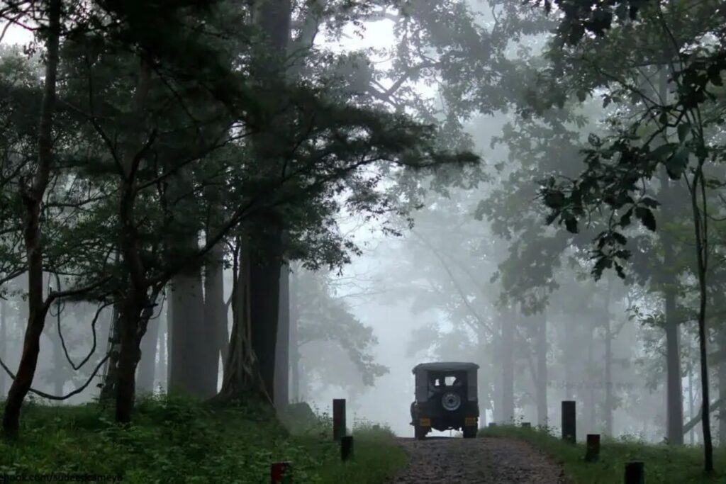 tholpetty wildlife sanctuary