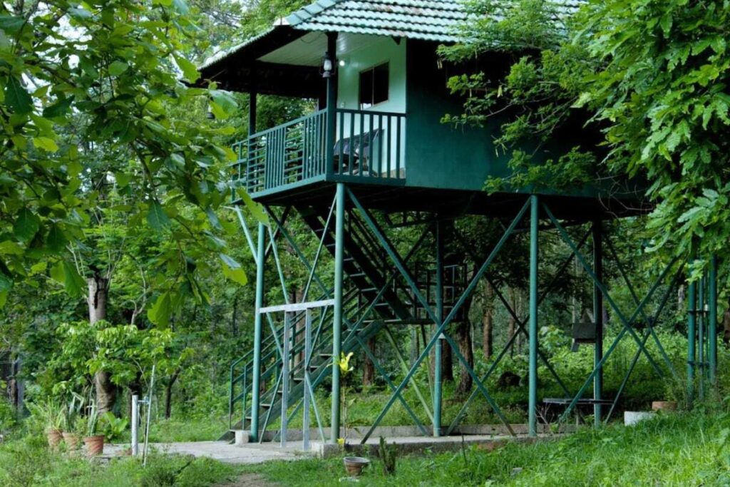 tholpetty wildlife sanctuary