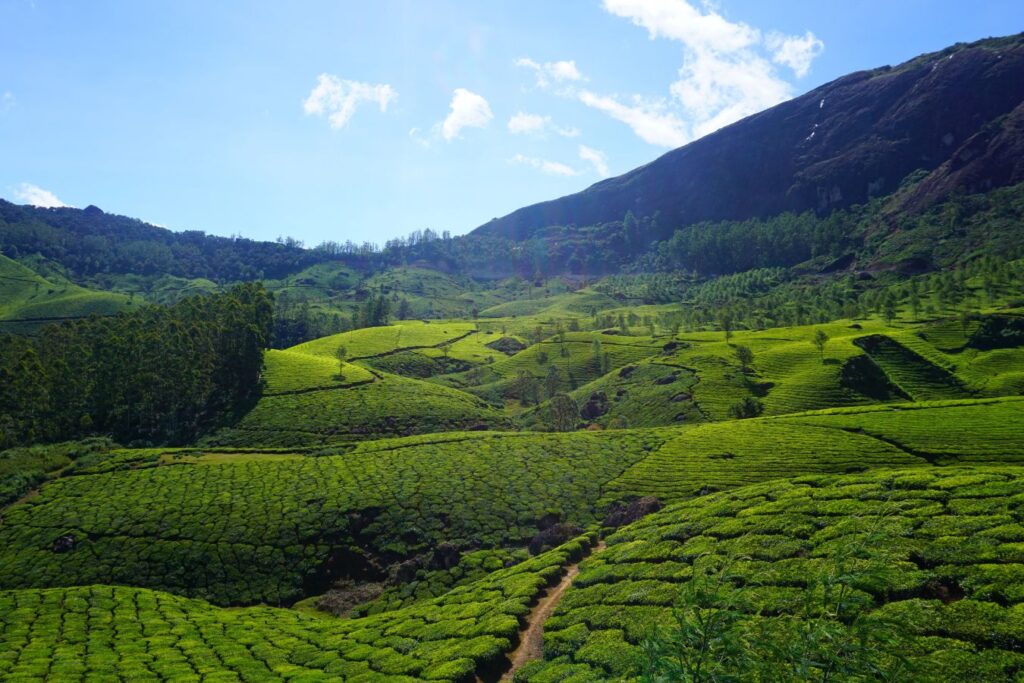 Top 10 Places to Visit in Munnar