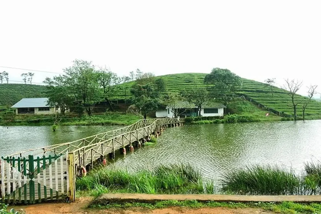 vagamon meadows Places to Visit in Vagamon in 2 Days